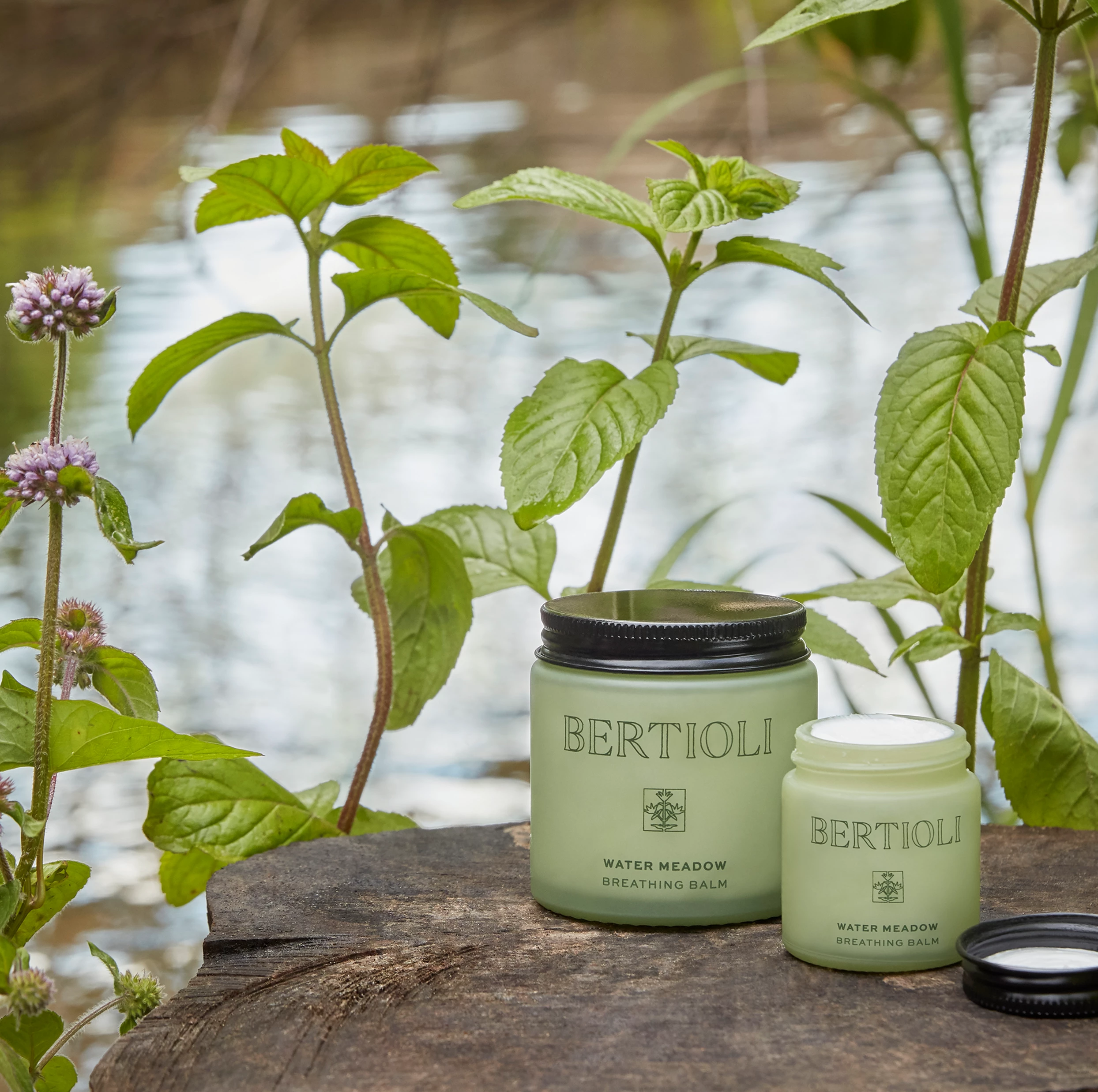 Bertioli By Thyme Beauty Water Meadow Breathing Balm - 100ml 4 Bertioli By Thyme Beauty Water Meadow Breathing Balm - 100ml