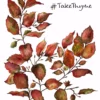 Take-a-little-thyme Experience Thyme Thyme Gift Voucher