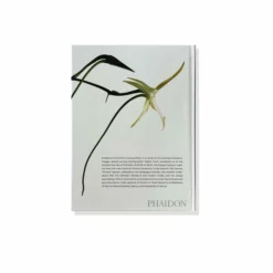 GBS Phaidon Evolution: A Visual Record Books