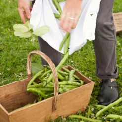 Take-a-little-thyme Experience Thyme A Seasonal Masterclass For Two 11 Take-a-little-thyme Experience Thyme A Seasonal Masterclass For Two