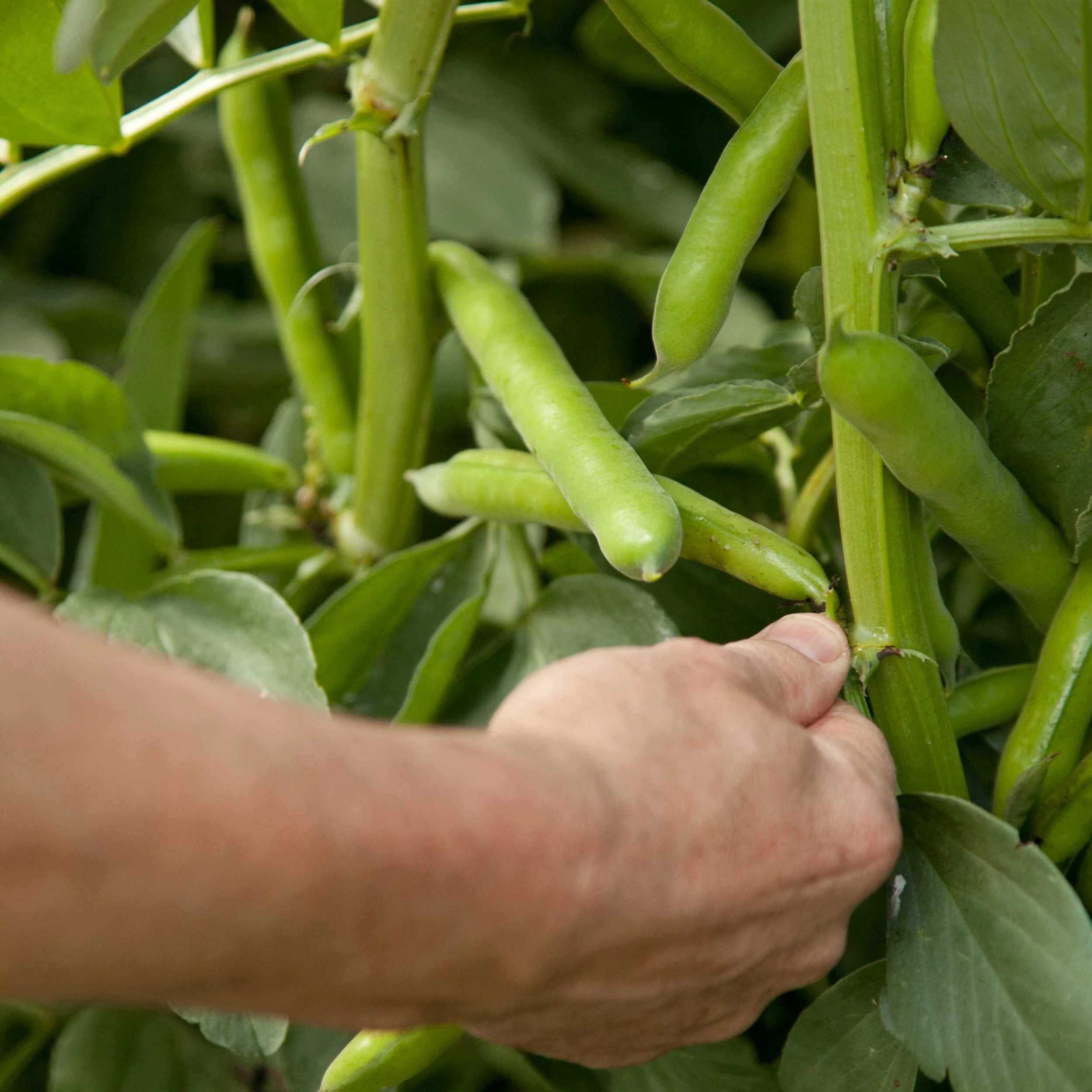 Take-a-little-thyme Experience Thyme A Seasonal Masterclass For Two 4 Take-a-little-thyme Experience Thyme A Seasonal Masterclass For Two