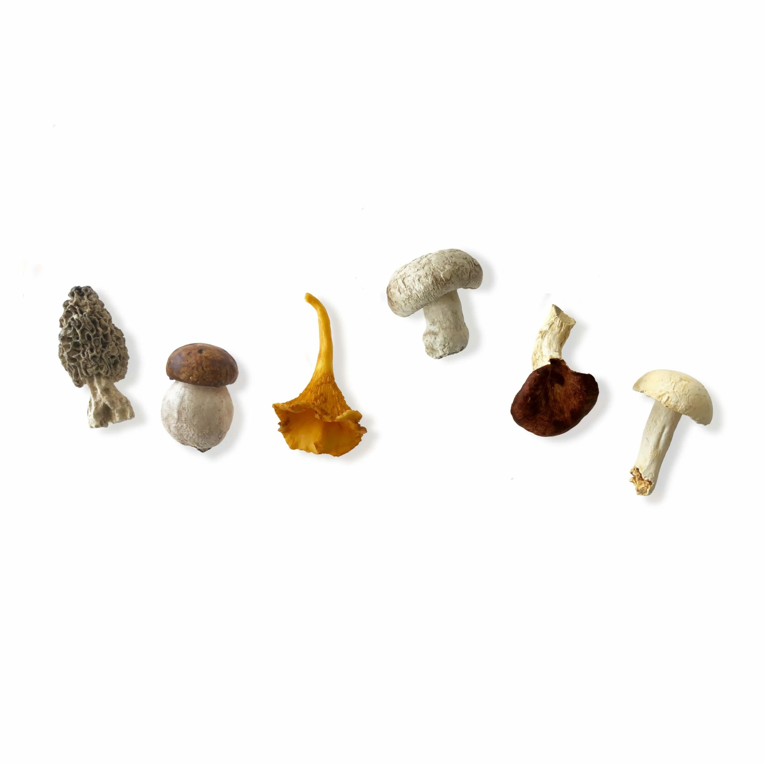 La Galine Ceramics Set Of 6 Hand Painted Mini Mushrooms 4 La Galine Ceramics Set Of 6 Hand Painted Mini Mushrooms