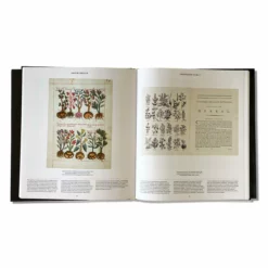 GBS Phaidon Books Plant