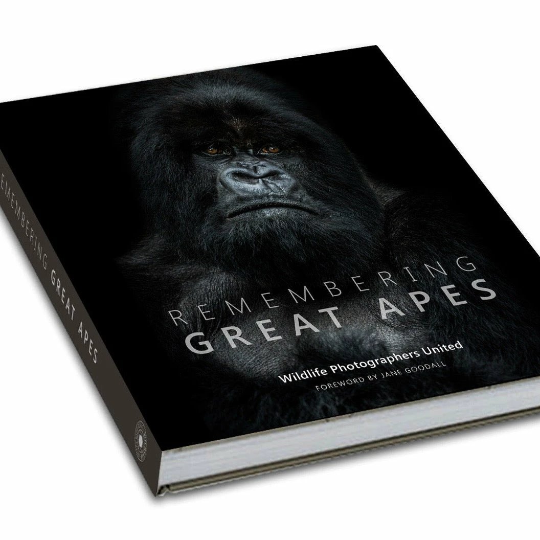 Margot Raggett Remembering Great Apes 3 Margot Raggett Remembering Great Apes