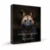 Margot Raggett Remembering Wild Dogs Books